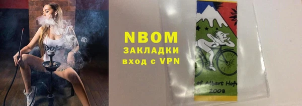 соль ск Дмитриев