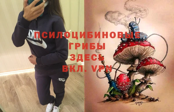 PSILOCYBIN Балабаново
