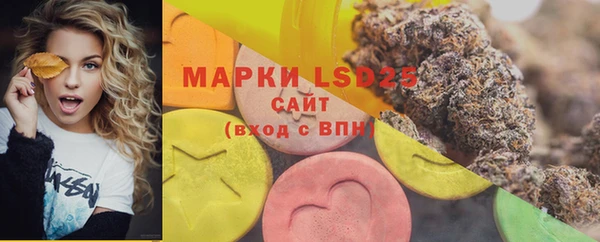 PSILOCYBIN Балабаново