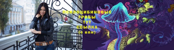 spice Баксан