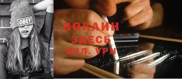 шишки Дмитровск
